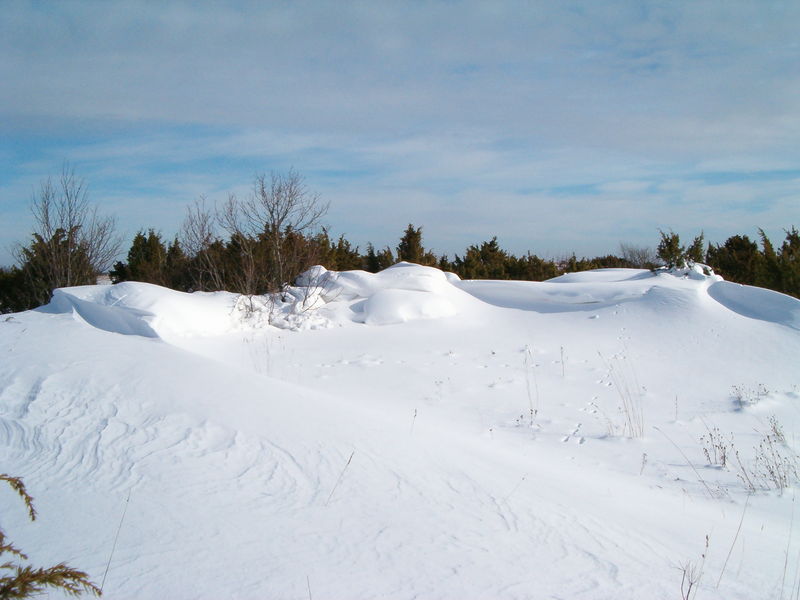 HPIM2240.JPG