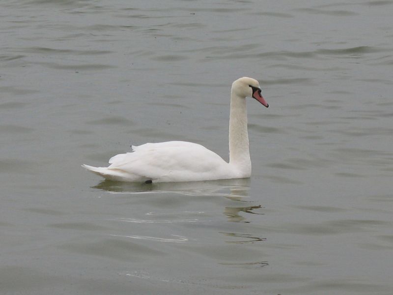 131.jpg