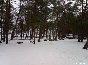 010.jpg