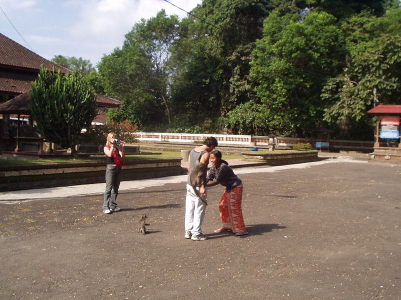155.jpg