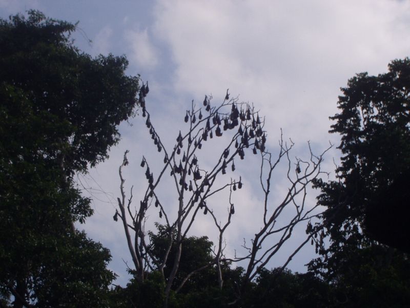 163.jpg