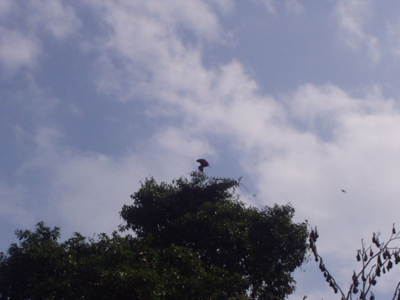 164.jpg