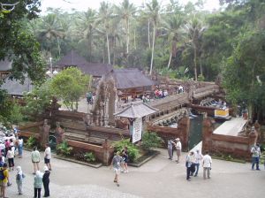 133.jpg