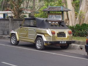 194.jpg