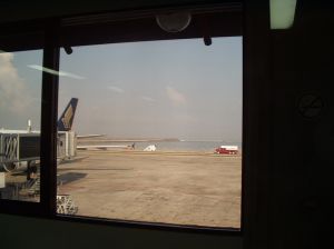 224.jpg
