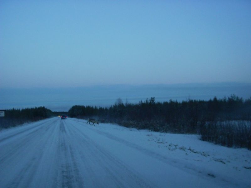 PICT0011.JPG