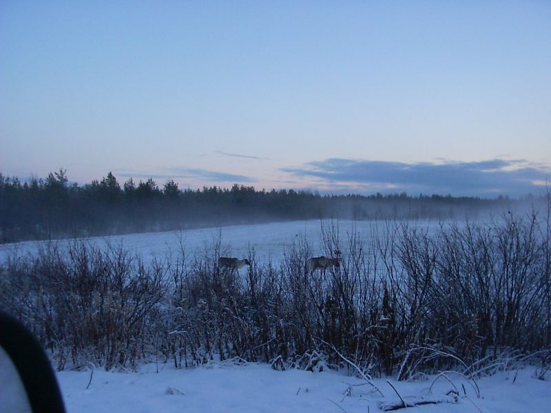 PICT0013.JPG