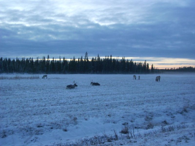 PICT0014.JPG