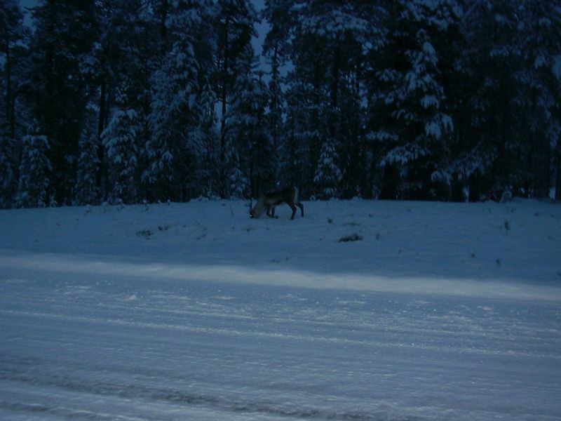 PICT0044.JPG