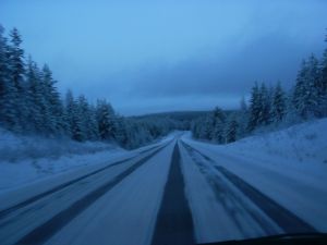 PICT0016.JPG