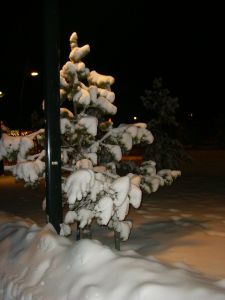 PICT0030.JPG