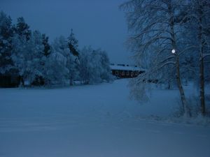 PICT0038.JPG