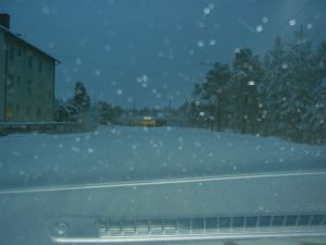 PICT0042.JPG