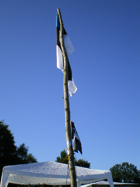 IMGP0422.JPG