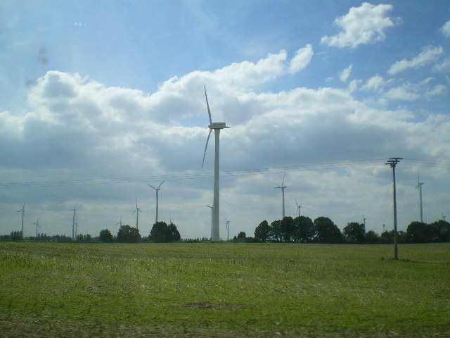 IMGP0470.JPG
