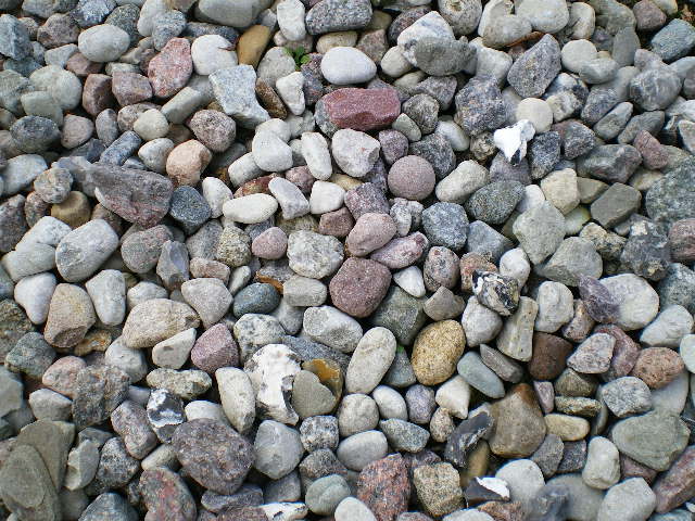 IMGP0474.JPG