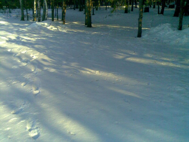 070320132800229.jpg