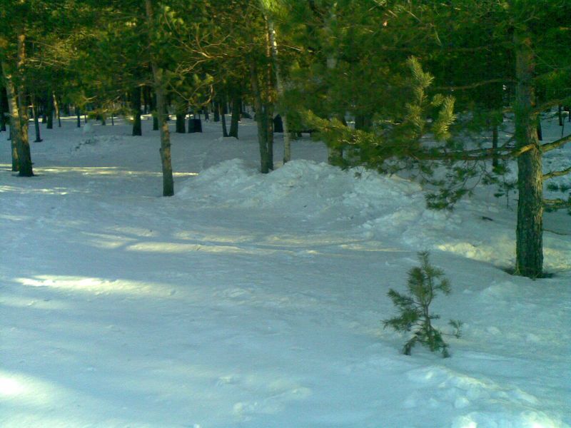 070320132800429.jpg