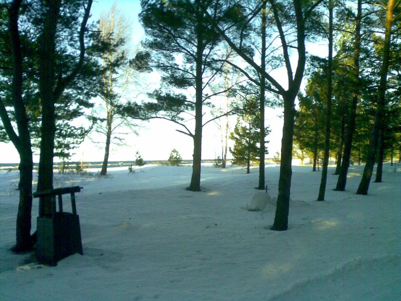 070320132801529.jpg