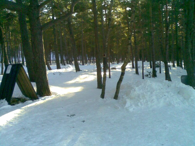 070320132801729.jpg
