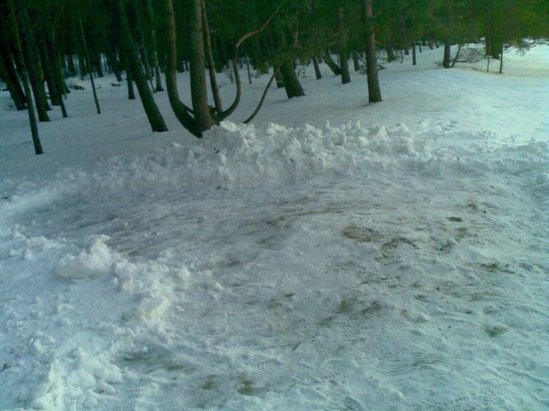 070320132802029.jpg