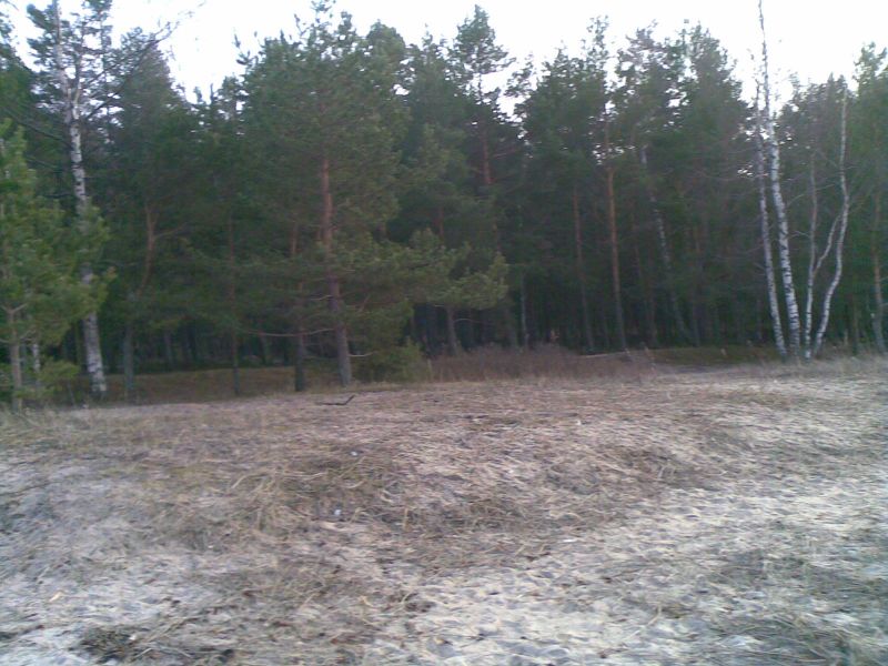 050320142800429.jpg