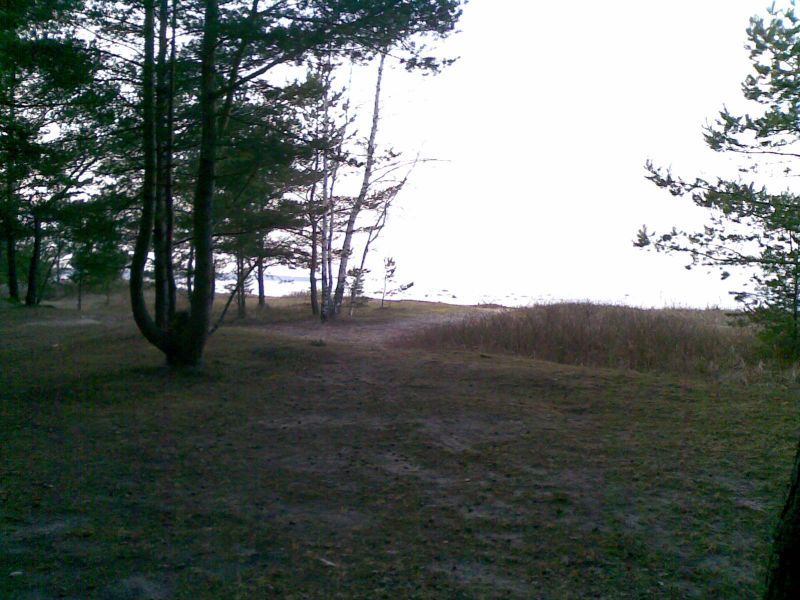 050320142801229.jpg