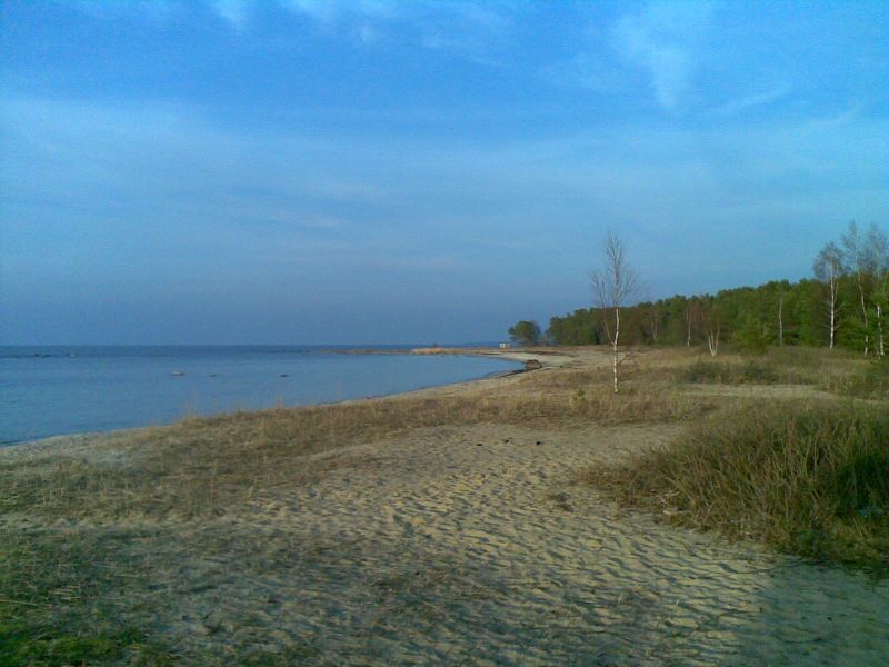 050320142801329.jpg