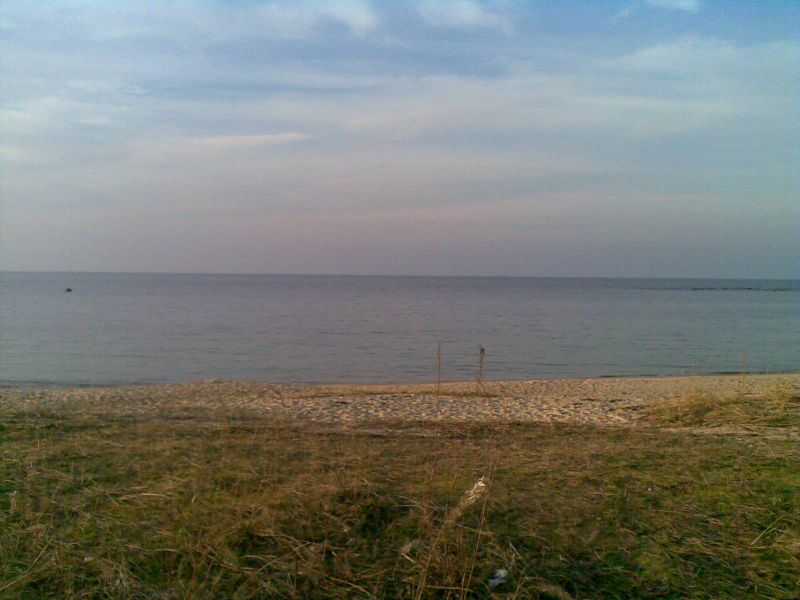 050320142801429.jpg