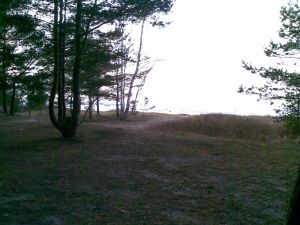050320142801229.jpg