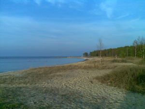 050320142801329.jpg