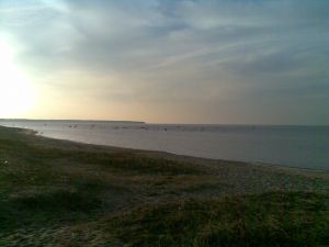 050320142801529.jpg
