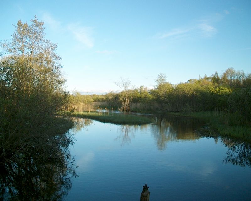 IM025027.JPG