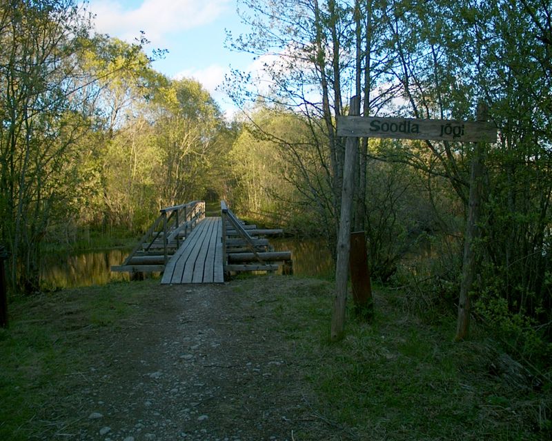 IM025031.JPG