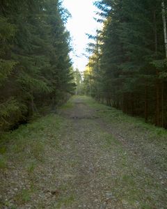 IM025011.JPG