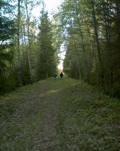 IM025012.JPG